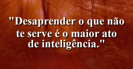 Desaprender o que não te serve é o maior ato de inteligência.