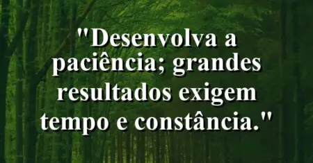 “Desenvolva a paciência; grandes resultados exigem tempo e constância.”