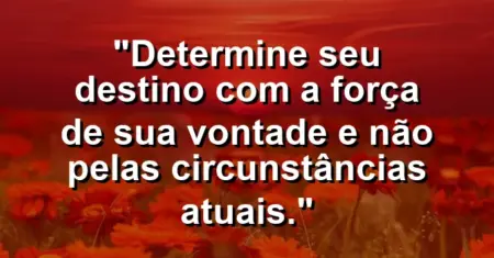 “Determine seu destino com a força de sua vontade e não pelas circunstâncias atuais.”