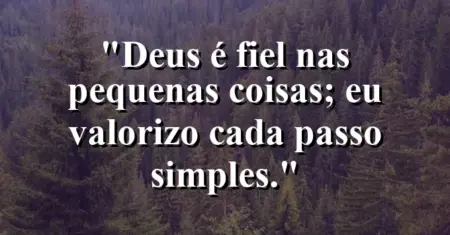 “Deus é fiel nas pequenas coisas; eu valorizo cada passo simples.”