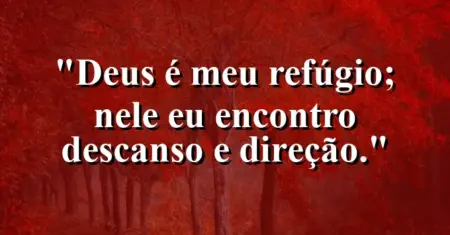 “Deus é meu refúgio; nele eu encontro descanso e direção.”