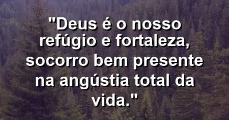 “Deus é o nosso refúgio e fortaleza, socorro bem presente na angústia total da vida.”