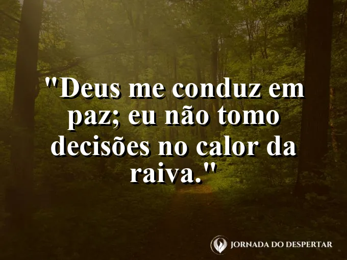 Imagem com a frase: Deus me conduz em paz; eu não tomo decisões no calor da raiva.