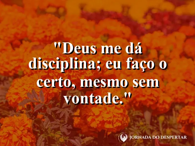 Imagem com a frase: Deus me dá disciplina; eu faço o certo, mesmo sem vontade.