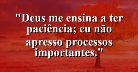 “Deus me ensina a ter paciência; eu não apresso processos importantes.”
