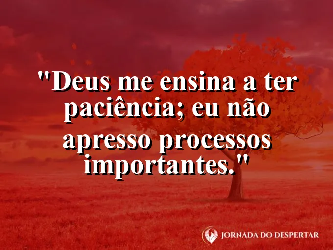 Imagem com a frase: Deus me ensina a ter paciência; eu não apresso processos importantes.