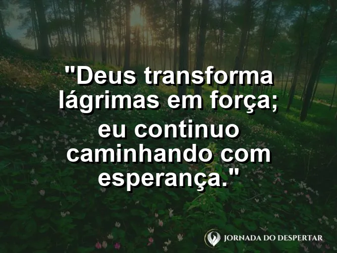 Imagem com a frase: Deus transforma lágrimas em força; eu continuo caminhando com esperança.