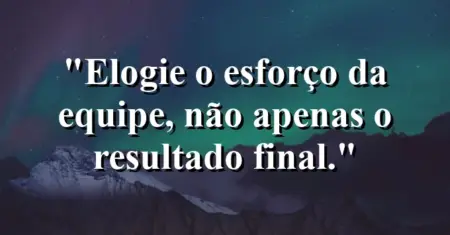 “Elogie o esforço da equipe, não apenas o resultado final.”