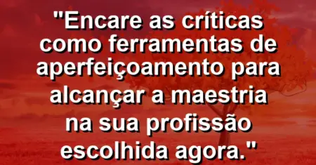 “Encare as críticas como ferramentas de aperfeiçoamento para alcançar a maestria na sua profissão escolhida agora.”
