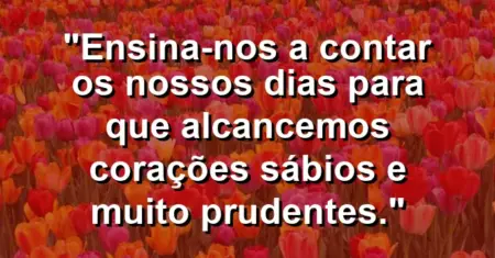 “Ensina-nos a contar os nossos dias para que alcancemos corações sábios e muito prudentes.”