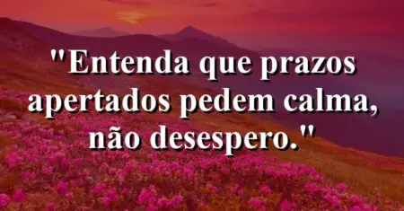 “Entenda que prazos apertados pedem calma, não desespero.”