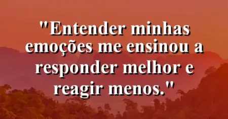 “Entender minhas emoções me ensinou a responder melhor e reagir menos.”