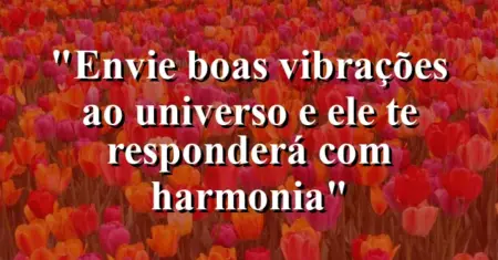 “Envie boas vibrações ao universo e ele te responderá com harmonia”