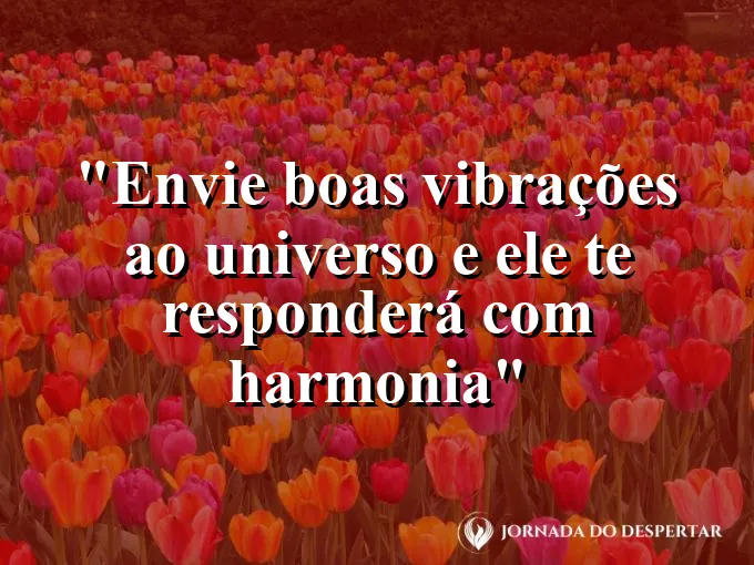 bom-dia-enviar-boas-vibracoes-universo-respondera-harmonia