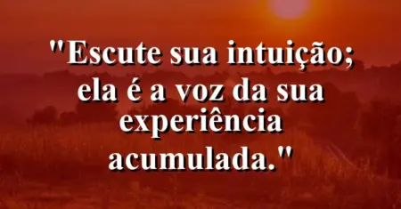 Escute sua intuição; ela é a voz da sua experiência acumulada.