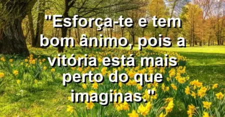 “Esforça-te e tem bom ânimo, pois a vitória está mais perto do que imaginas.”