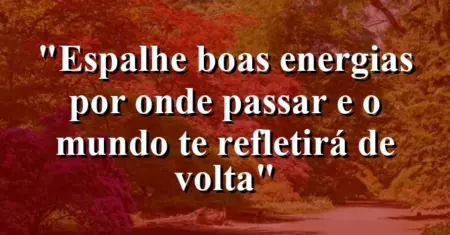 “Espalhe boas energias por onde passar e o mundo te refletirá de volta”