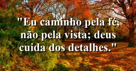 “Eu caminho pela fé, não pela vista; Deus cuida dos detalhes.”
