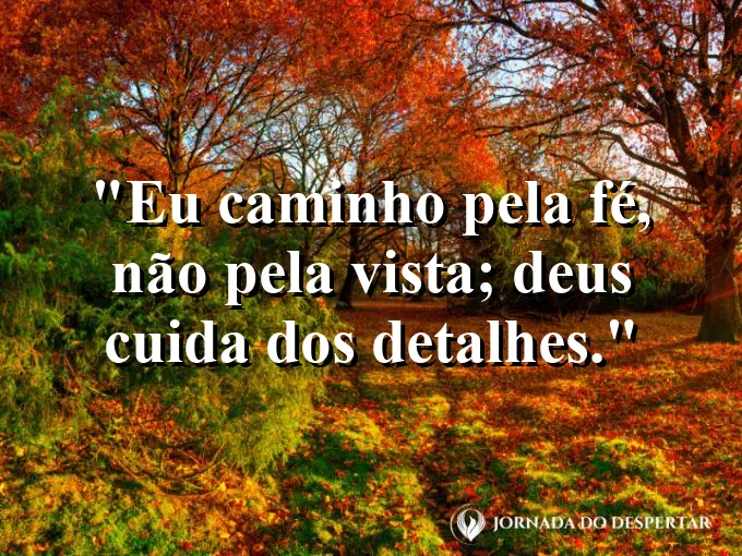 Imagem com a frase: Eu caminho pela fé, não pela vista; Deus cuida dos detalhes.
