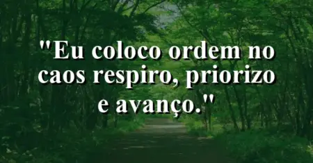 Eu coloco ordem no caos: respiro, priorizo e avanço.