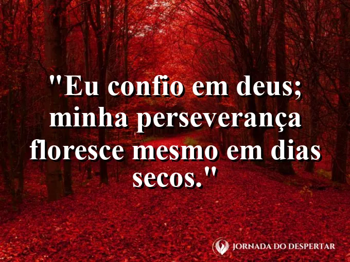 Imagem com a frase: Eu confio em Deus; minha perseverança floresce mesmo em dias secos.