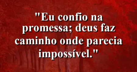 “Eu confio na promessa; Deus faz caminho onde parecia impossível.”