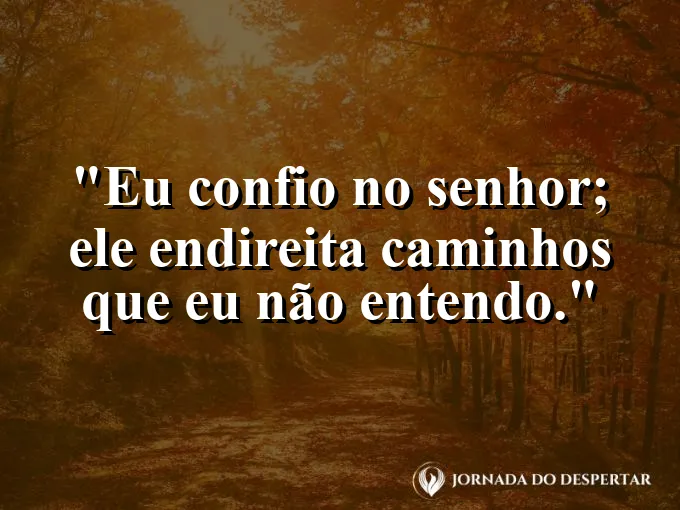 Imagem com a frase: Eu confio no Senhor; Ele endireita caminhos que eu não entendo.
