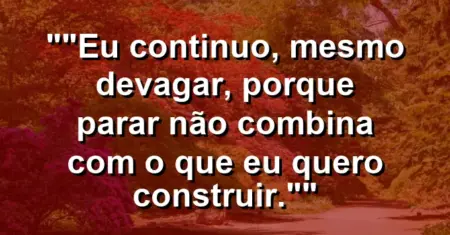 “Eu continuo, mesmo devagar, porque parar não combina com o que eu quero construir.”
