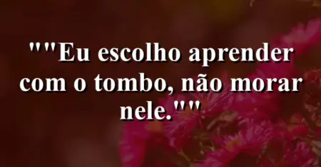 “Eu escolho aprender com o tombo, não morar nele.”