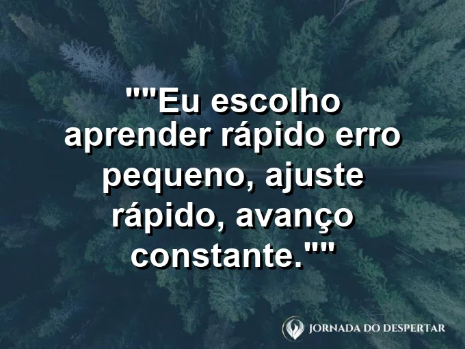 Frase para status: "Eu escolho aprender rápido: erro pequeno, ajuste rápido, avanço constante."