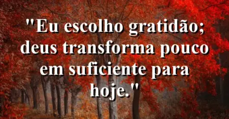 “Eu escolho gratidão; Deus transforma pouco em suficiente para hoje.”
