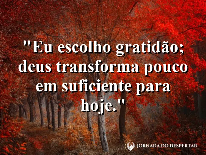 Imagem com a frase: Eu escolho gratidão; Deus transforma pouco em suficiente para hoje.