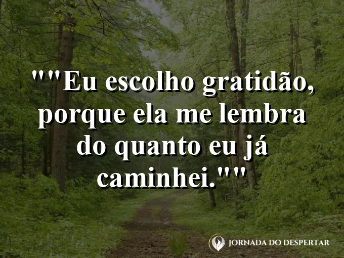 Frase para status: "Eu escolho gratidão, porque ela me lembra do quanto eu já caminhei."