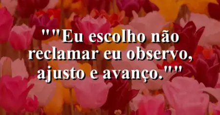 “Eu escolho não reclamar: eu observo, ajusto e avanço.”