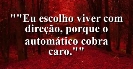 “Eu escolho viver com direção, porque o automático cobra caro.”