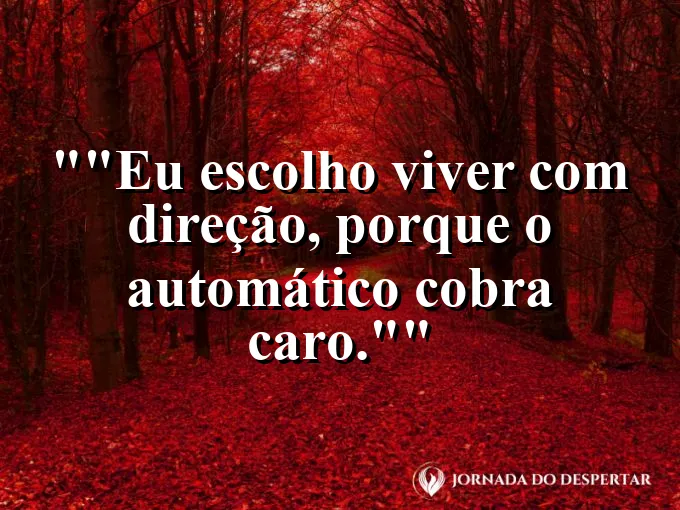 Frase motivacional para status: "Eu escolho viver com direção, porque o automático cobra caro."