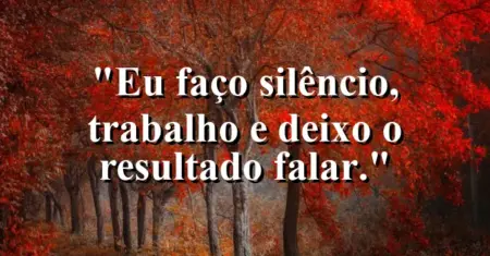 Eu faço silêncio, trabalho e deixo o resultado falar.