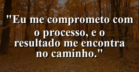 Eu me comprometo com o processo, e o resultado me encontra no caminho.