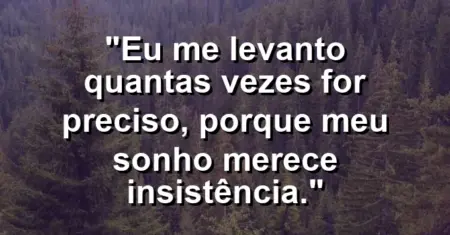 Eu me levanto quantas vezes for preciso, porque meu sonho merece insistência.