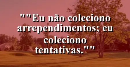 “Eu não coleciono arrependimentos; eu coleciono tentativas.”