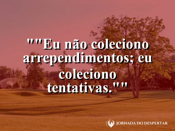 Frase motivacional para status: "Eu não coleciono arrependimentos; eu coleciono tentativas."