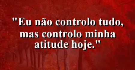 Eu não controlo tudo, mas controlo minha atitude hoje.