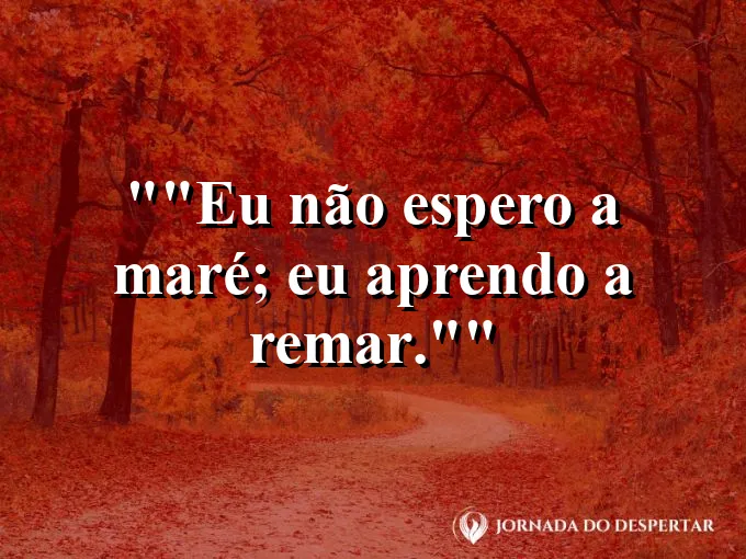 Frase motivacional para status: "Eu não espero a maré; eu aprendo a remar."