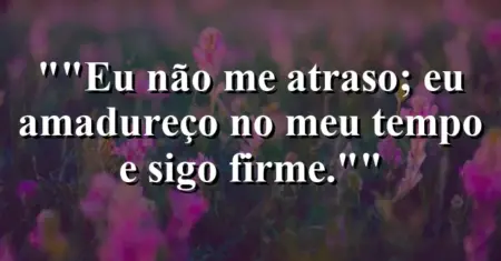 “Eu não me atraso; eu amadureço no meu tempo e sigo firme.”