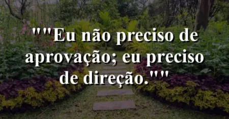 “Eu não preciso de aprovação; eu preciso de direção.”