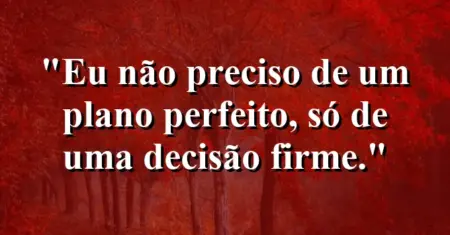 Eu não preciso de um plano perfeito, só de uma decisão firme.