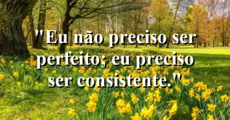 Eu não preciso ser perfeito; eu preciso ser consistente.