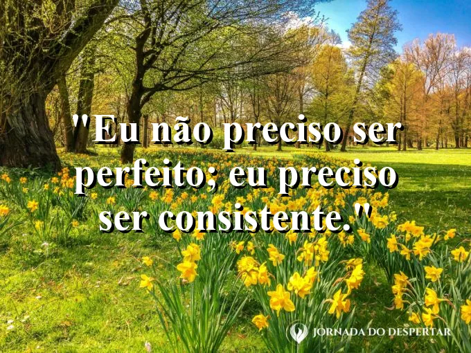 Frase para status: eu não preciso ser perfeito; eu preciso ser consistente.