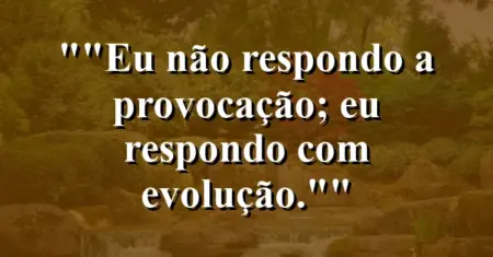 “Eu não respondo a provocação; eu respondo com evolução.”