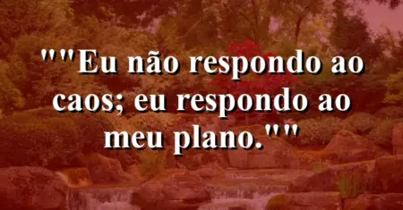 “Eu não respondo ao caos; eu respondo ao meu plano.”